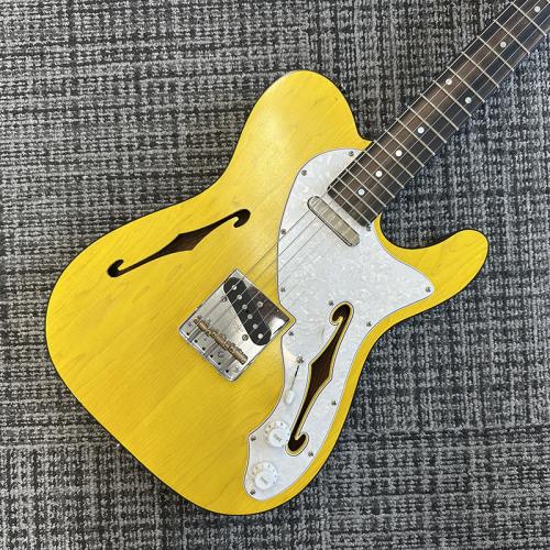 Triadz Custom Guitar TL-Hollow