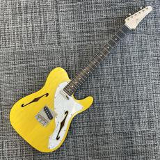Triadz Custom Guitar TL-Hollow_2