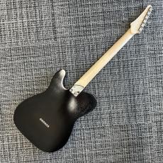 Triadz Custom Guitar TL-Hollow_3