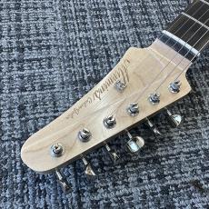 Triadz Custom Guitar TL-Hollow_4