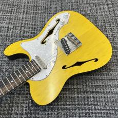 Triadz Custom Guitar TL-Hollow_5