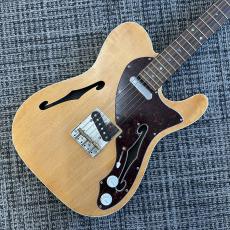 Triadz Custom Guitar TL-Hollow_7