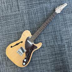 Triadz Custom Guitar TL-Hollow_8