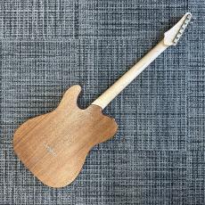 Triadz Custom Guitar TL-Hollow_9