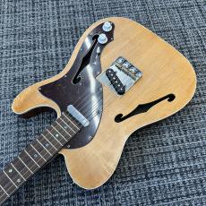 Triadz Custom Guitar TL-Hollow_10