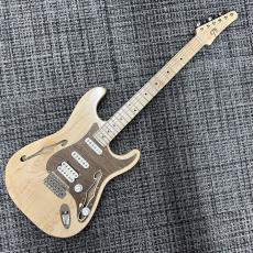Triadz Custom Guitar ST-Hollow_2