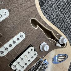 Triadz Custom Guitar ST-Hollow_8