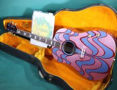 Gibson J-160E MAGICAL PAINT 