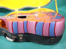 Gibson J-160E MAGICAL PAINT _4