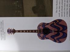 Gibson J-160E MAGICAL PAINT _11