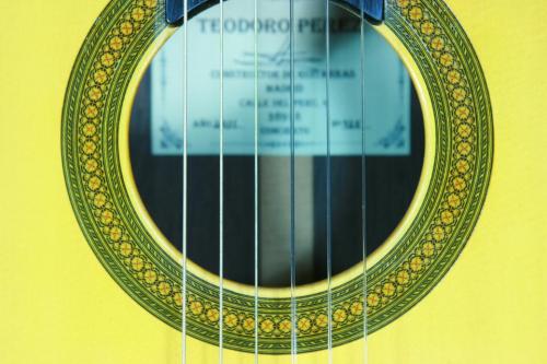 Teodoro Perez [テオドロ・ペレス] CONCIERTO　松/マダガスカルローズウッド