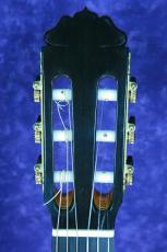 Teodoro Perez [テオドロ・ペレス] CONCIERTO　松/マダガスカルローズウッド_4