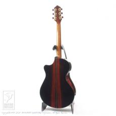 Keystone Jujube with Cutaway (Jacaranda)_4