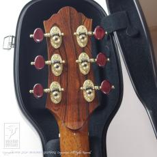 Keystone Jujube with Cutaway (Jacaranda)_7
