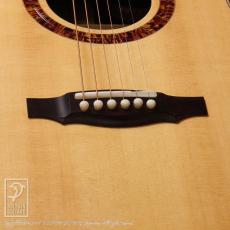 Keystone Mod-D Cutaway (German & Madagascar Rosewood)【デモ動画掲載】_13