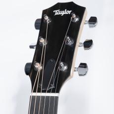 Taylor LTD EG Academy 12e_4