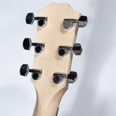 Taylor LTD EG Academy 12e_5