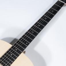 Taylor LTD EG Academy 12e_7