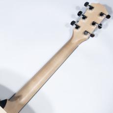 Taylor LTD EG Academy 12e_8