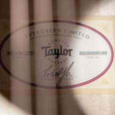 Taylor LTD EG Academy 12e_10