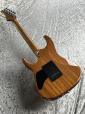T's DST-Pro24 Type2 Quilt ~BengalBurst~ 【2020'sUSED】【極上TOP】_7