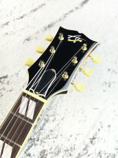 Archtop Tribute AT 350 【2025'sUSED】【日本製】_3