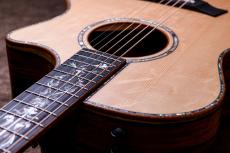 Taylor 【5/10迄、限定大特価+Fisman AMPプレゼント!】CTM GA Cocobolo × Bear Claw Spruce Top_4