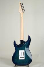 FUJIGEN EOS2-ASH-M/SBB -See-Thru Blue Burst-【S/N K230040】_4
