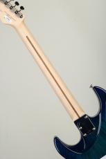 FUJIGEN EOS2-ASH-M/SBB -See-Thru Blue Burst-【S/N K230040】_6