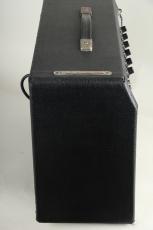 Fender 1976 Princeton Reverb Silver Face_4