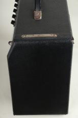 Fender 1976 Princeton Reverb Silver Face_5