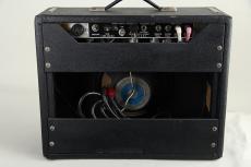 Fender 1976 Princeton Reverb Silver Face_6