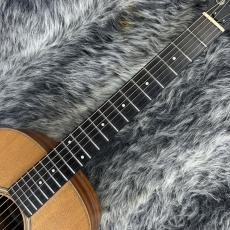 Taylor GS-Mini 2013年製_4