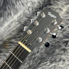 Taylor GS-Mini 2013年製_5
