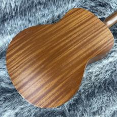 Taylor GS-Mini 2013年製_6