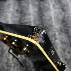 Ibanez DT-450 Destroyer Ⅱ_9