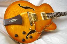 Ibanez AF105-AMB