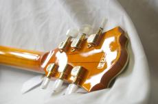 Ibanez AF105-AMB_4