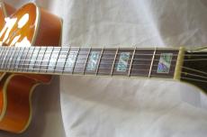 Ibanez AF105-AMB_7