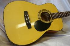 Cort CAG-1F
