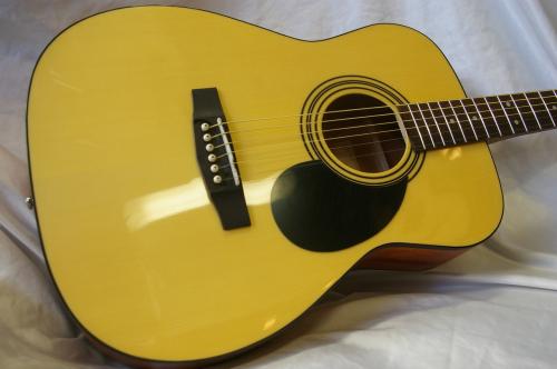 Cort CAG-1F