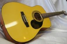 Cort CAG-1F_2