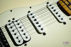 Fender Standard Stratocaster HSS / 2010_6