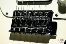 Fender Standard Stratocaster HSS / 2010_8