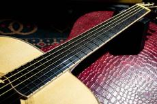Yokoyama Guitars AN-GR_4