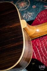 Yokoyama Guitars AN-GR_10