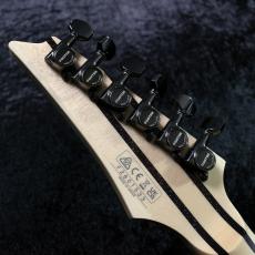Ibanez j-Custom Series RG8570 -Royal Blue Sapphire- # F2601533【4.15㎏】【激杢個体】_9