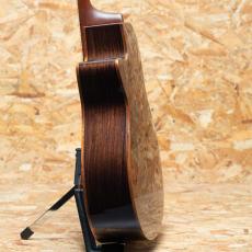 Morris SE-103 2020_5