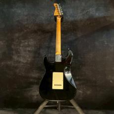 FERNANDES LE-1Z Black SSH 【3.46kg】_6