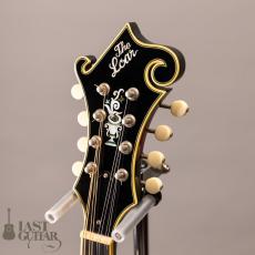 Loar LM-600 VS_5